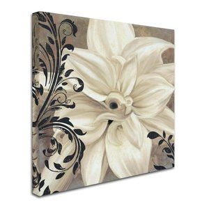 Trademark Fine Art 35x35 Floral Canvas Wall Art 'Winter White II' by Color